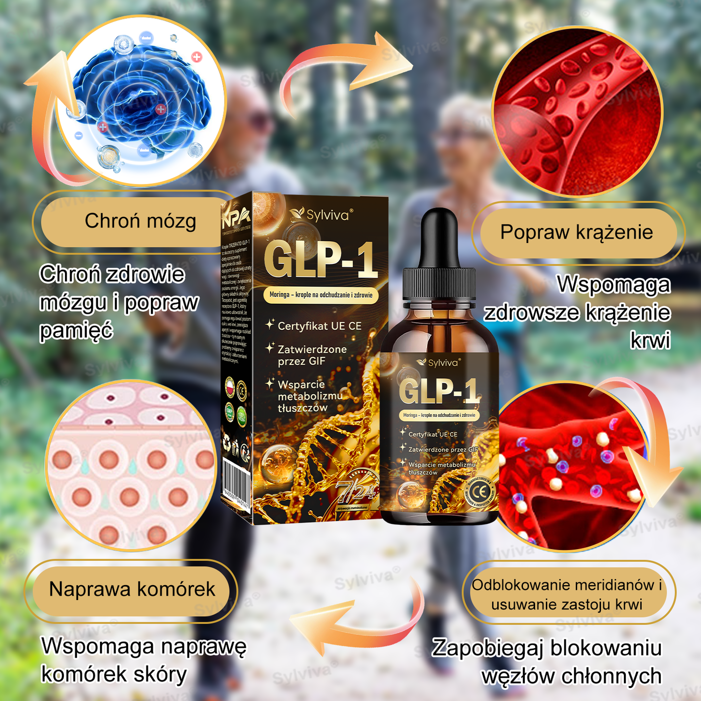 🔥Polecane przez Klinikę Mayo | Oficjalny sklep | Sylviva® GLP-1 Moringa – krople na odchudzanie i zdrowie 🔥 (Spalacz tłuszczu o jakości spożywczej – opracowany przez Towarzystwo Otyłości